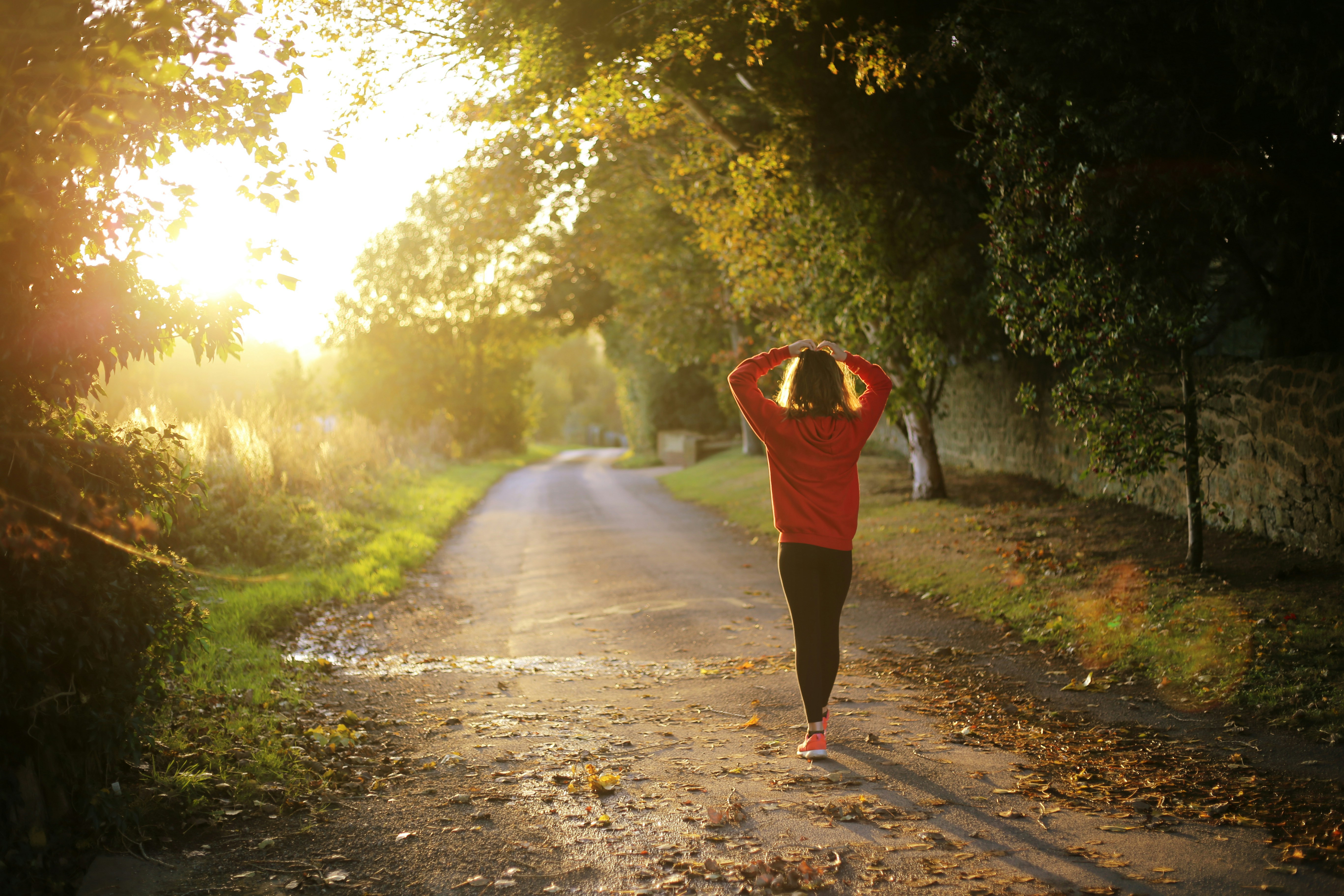 Joggerin die von hinten sieht. Sie läuft über einen Waldweg